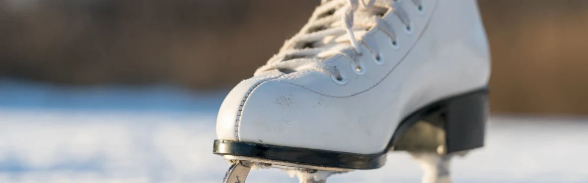 Winter in Vienna: Ice Skating & Seasonal Magic