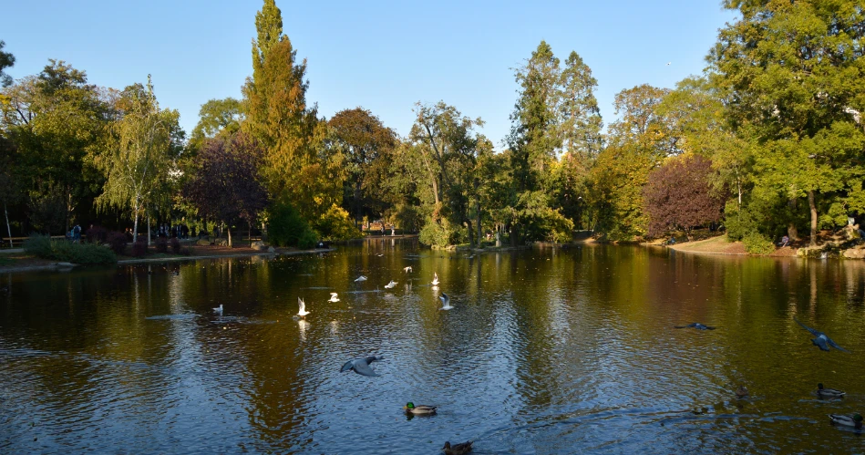 A Relaxing Day at Stadtpark Vienna