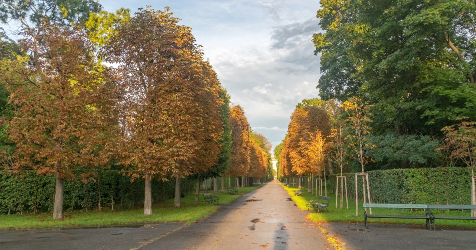 Perkara Mesra Bajet untuk Dilakukan di Vienna
